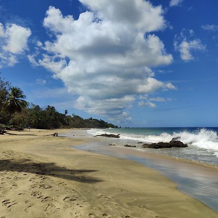 Queen Angel Suite. Stunning Apartment On Grafton Beach With Direct Beach Access Black Rock 외부 사진