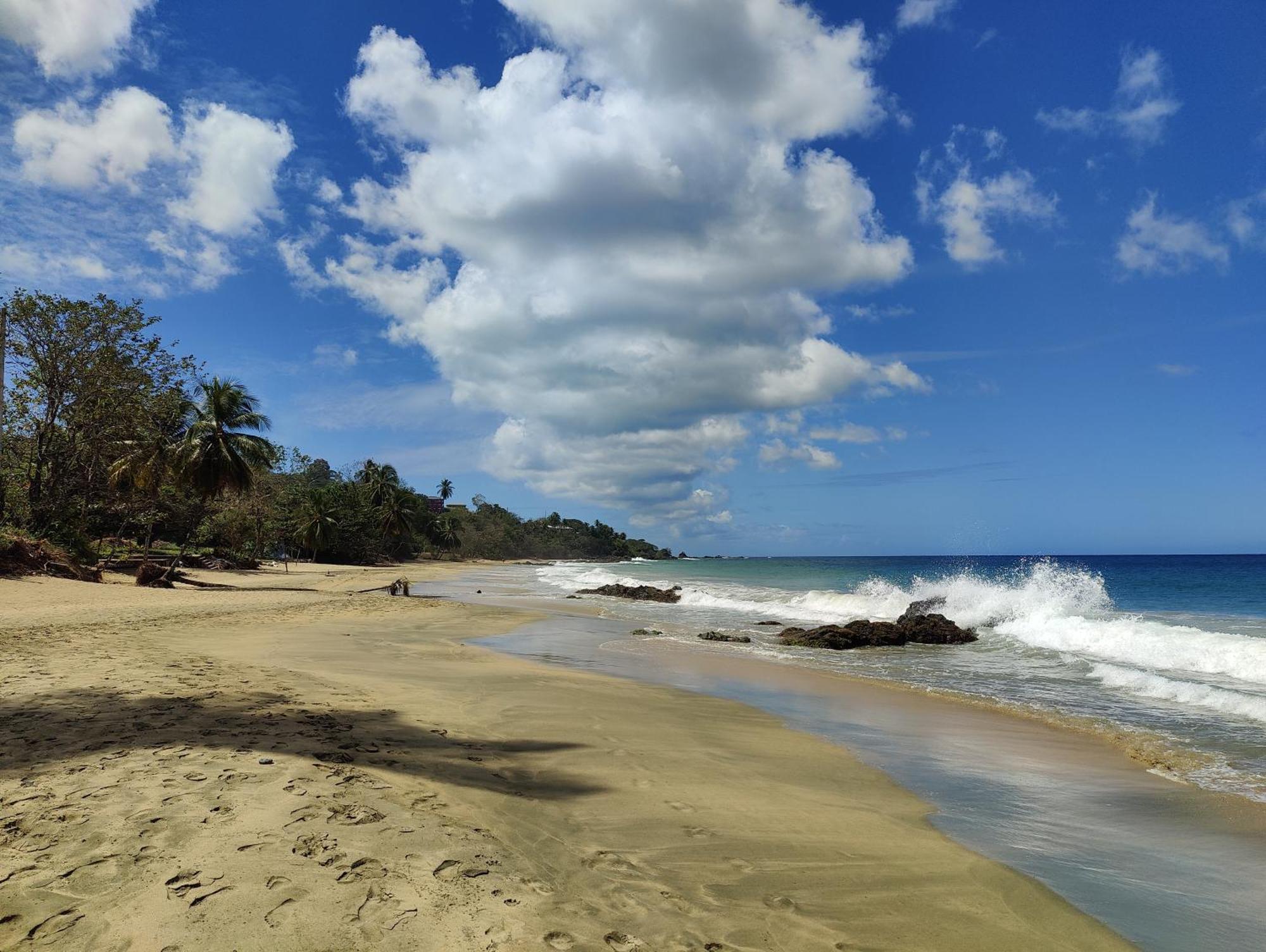 Queen Angel Suite. Stunning Apartment On Grafton Beach With Direct Beach Access Black Rock 외부 사진